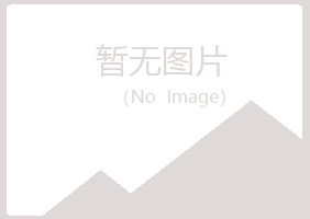 鹤岗兴山沙砾咨询有限公司